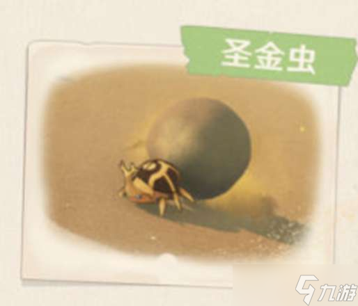 原神沙漠动植物一览