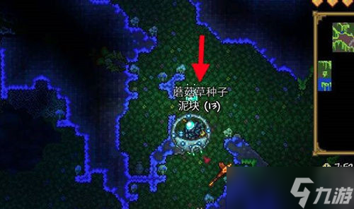 泰拉瑞亚蘑菇人入住条件是什么