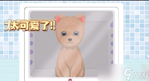收纳物语狗狗spa怎么过