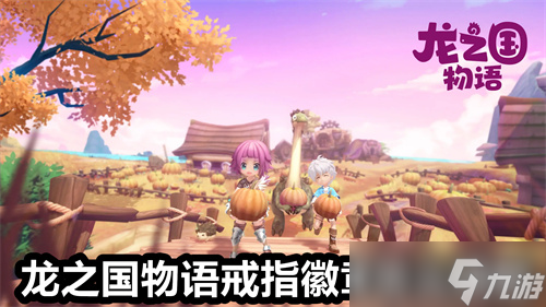龙之国物语戒指徽章怎么搭配