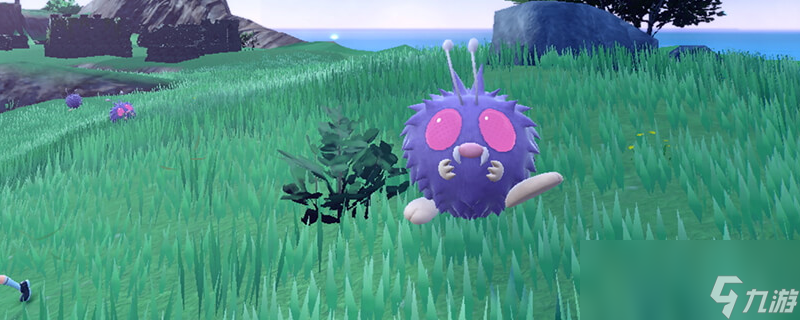 <a id='link_pop' class='keyword-tag' href='https://www.9game.cn/bkmzz/'>宝可梦朱紫</a>爱管侍在哪里抓