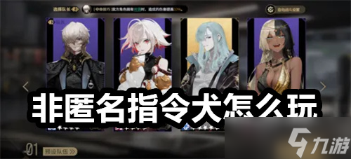 非匿名指令犬怎么玩