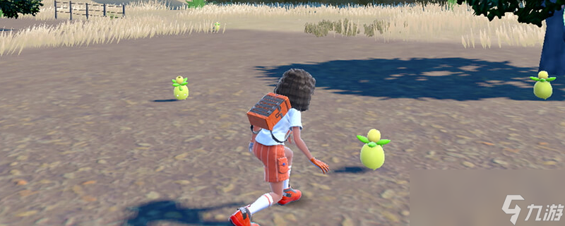 <a id='link_pop' class='keyword-tag' href='https://www.9game.cn/bkmzz/'>宝可梦朱紫</a>刺球仙人掌在哪里抓