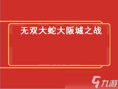 无双大蛇大阪城之战（无双大蛇大阪城之战开门）