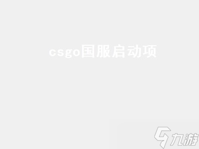 csgo國服啟動項（csgo國服啟動項代碼）