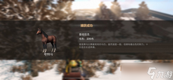 明日之后套马索使用方法