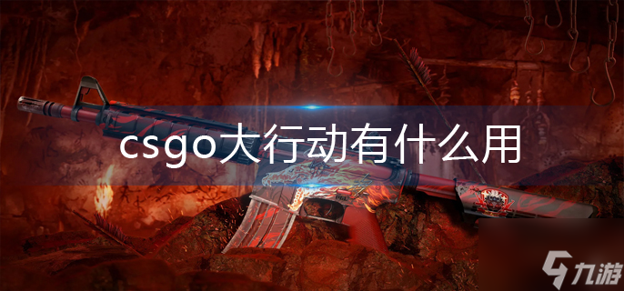 csgo大行動(dòng)有什么用