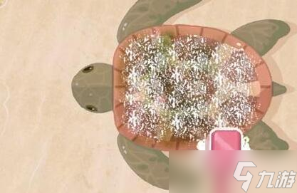 小小收納拯救龜龜通關(guān)攻略