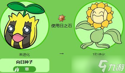 宝可梦朱紫向日种子怎么样