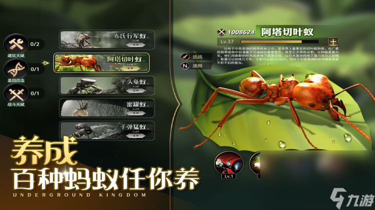 2022关于蚂蚁进化的游戏有什么 蚂蚁进化类题材手游手机版推荐