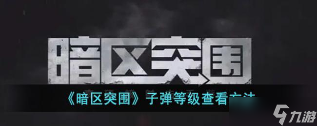 暗区突围子弹等级查看方法