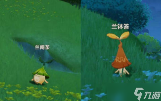 《原神》须请安全玩耍攻略