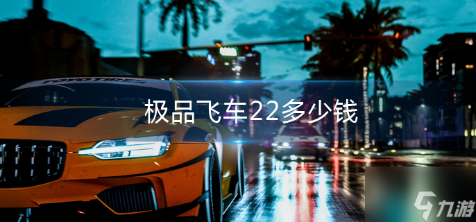 極品飛車22多少錢