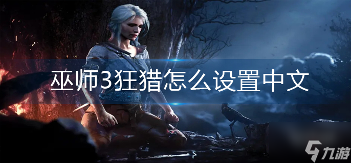 巫师3狂猎怎么设置中文