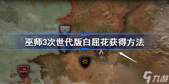 巫师3次世代版白屈花怎么获得 巫师3次世代版白屈花获得方法
