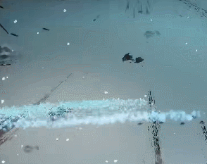 《暖雪手游》虎家之主怎么打 虎家之主招式解析及打法技巧分享