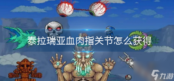 泰拉瑞亚血肉指关节怎么获得