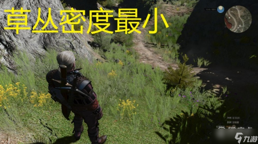巫师3次世代版需要开草丛密度吗
