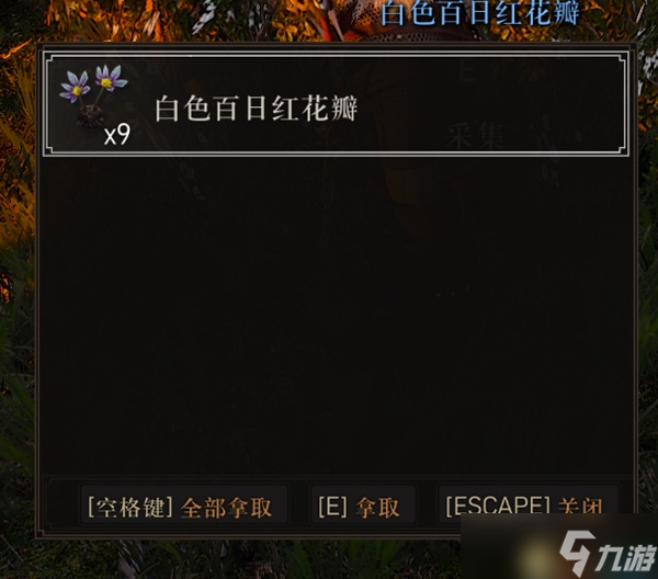 《巫师3》次世代版更多战利品MOD分享