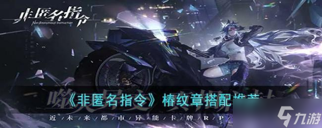 非匿名指令椿纹章搭配推荐