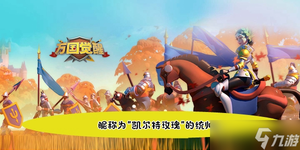 昵称为凯尔特玫瑰的统帅是