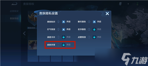 王者荣耀共享皮肤开启需要哪些条件