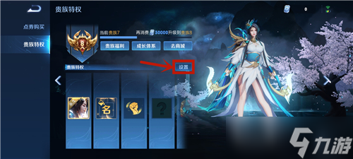 王者荣耀共享皮肤开启需要哪些条件