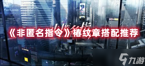 《非匿名指令》椿纹章搭配推荐