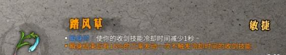 暖雪踏风草怎么搭配