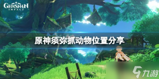 《原神》须弥动物在哪抓 须弥抓动物位置分享