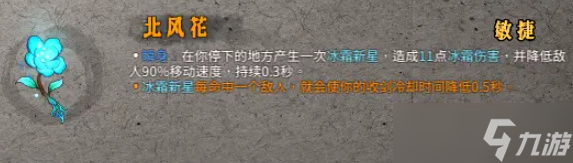 暖雪北风花效果怎么样
