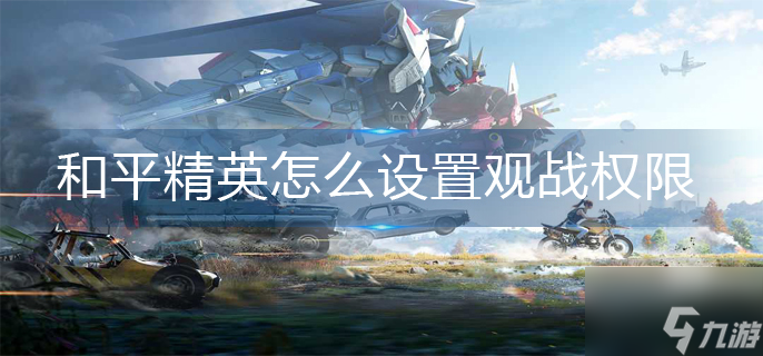 和平精英怎么设置观战权限