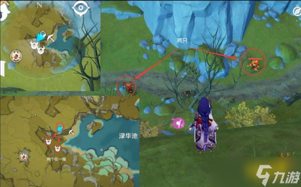 《原神》骗骗花蜜采集分布图 骗骗花蜜速刷路线大全