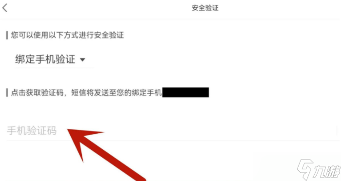 原神怎么设置密码？原神怎么设置密码登录的方法