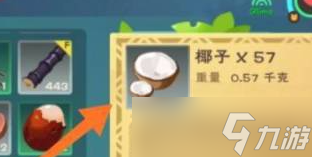 创造与魔法椰子汁制作流程