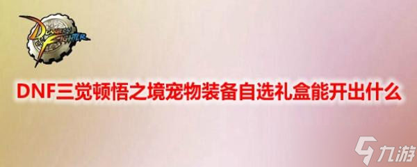 DNF三觉顿悟之境宠物装备自选礼盒能开出什么