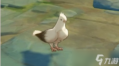 原神鸽子位置介绍
