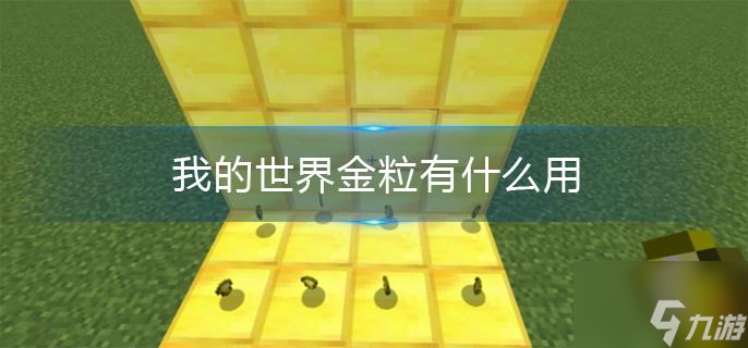 《我的世界》金粒有什么用