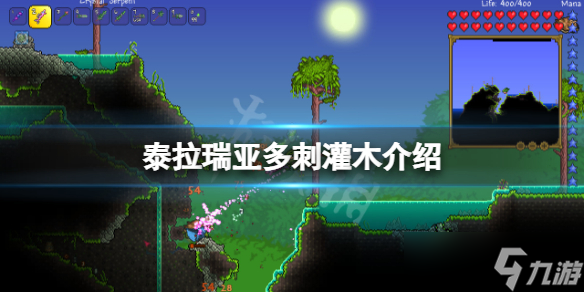 《泰拉瑞亚》多刺灌木有哪些？多刺灌木介绍