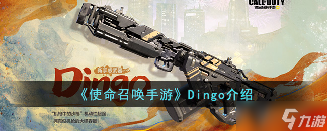 使命召唤手游Dingo怎么样 Dingo介绍