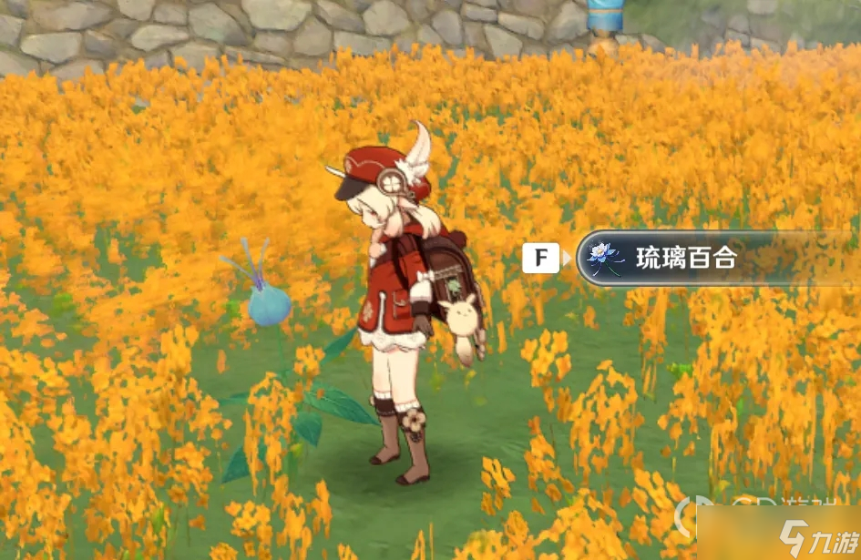 《原神》琉璃百合采集位置