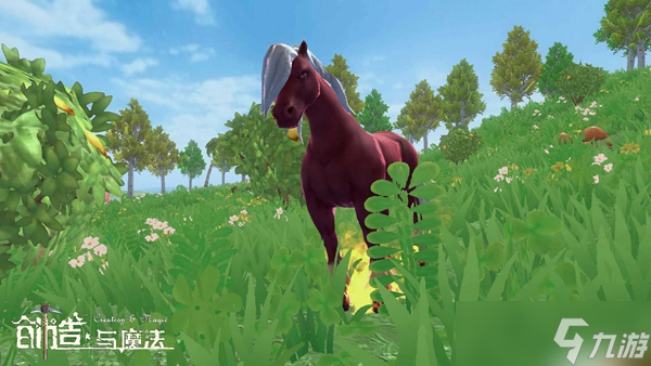 创造与魔法火马饲料介绍