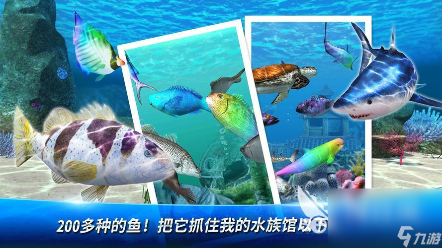 耐玩的釣魚游戲大全推薦 2023火爆的釣魚游戲盤點