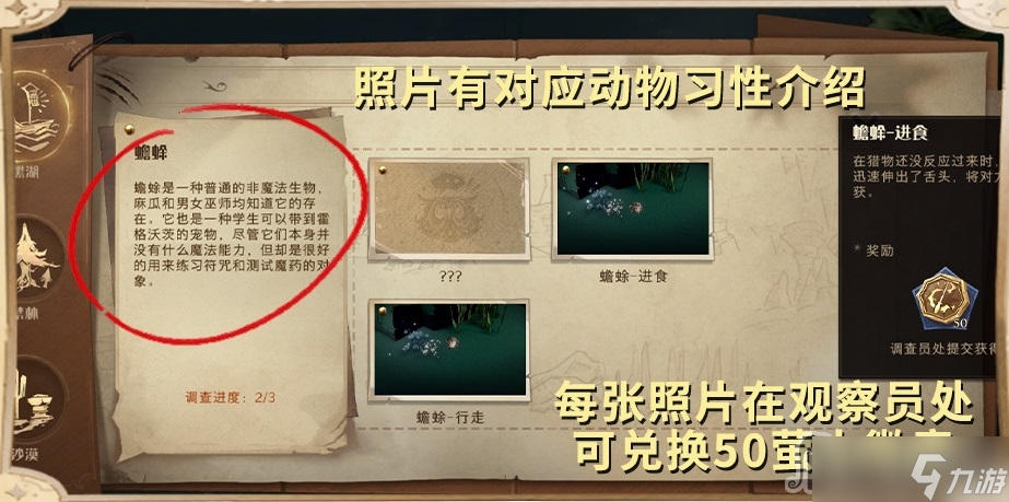 《哈利波特：魔法觉醒》帐篷使用方法