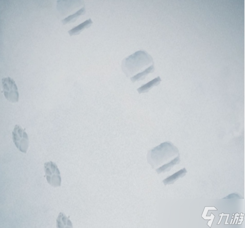忘雪游戏第八关攻略