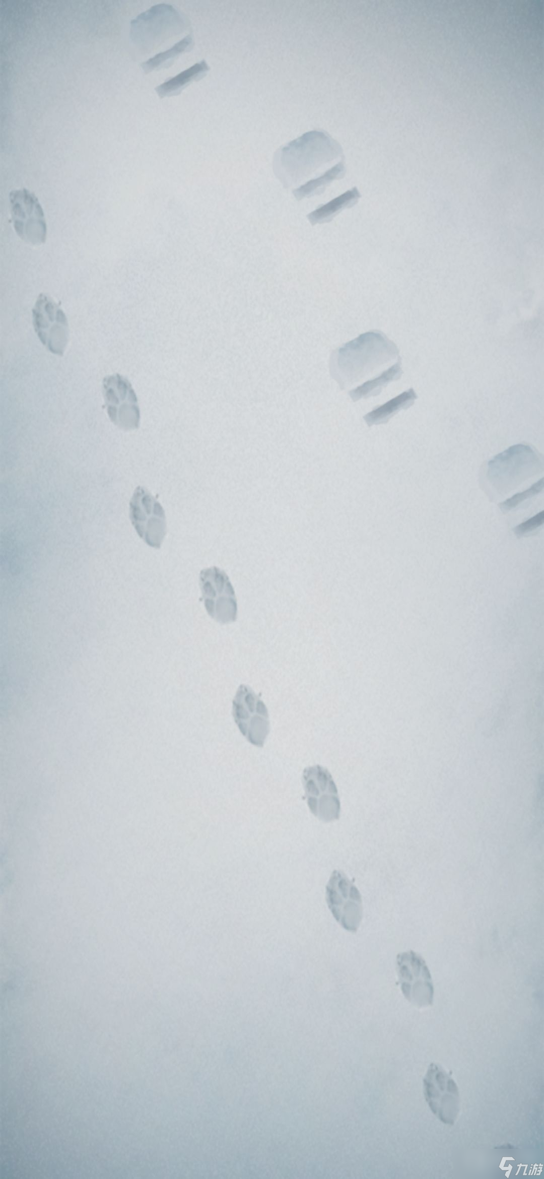 《忘雪》第八关图文通关方法