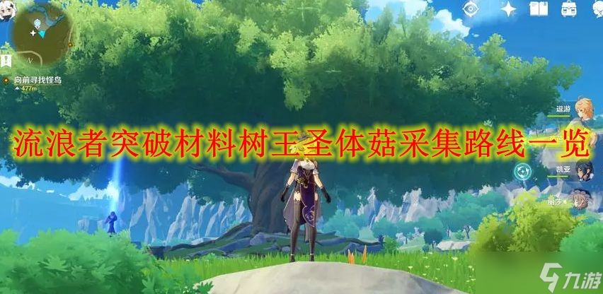 《原神》流浪者突破材料树王圣体菇采集路线一览