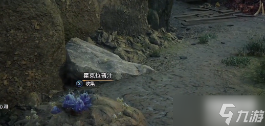霍格沃茨之遺霍克拉普汁在哪