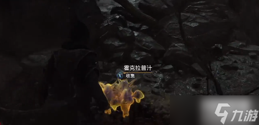 霍格沃茨之遺霍克拉普汁在哪