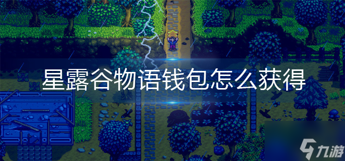 星露谷物语钱包怎么获得